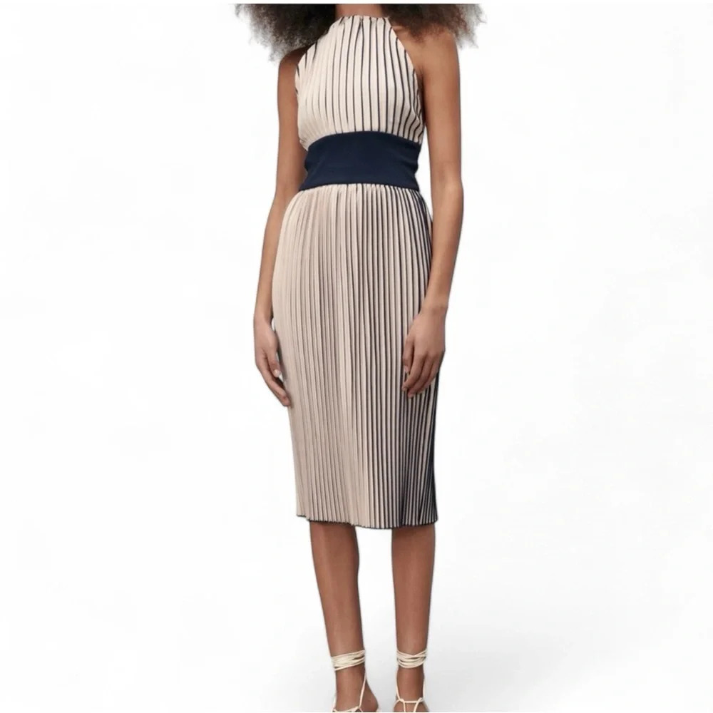 Elegant Beige and Navy Pleated Dress